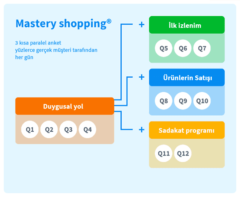 mastery shopping